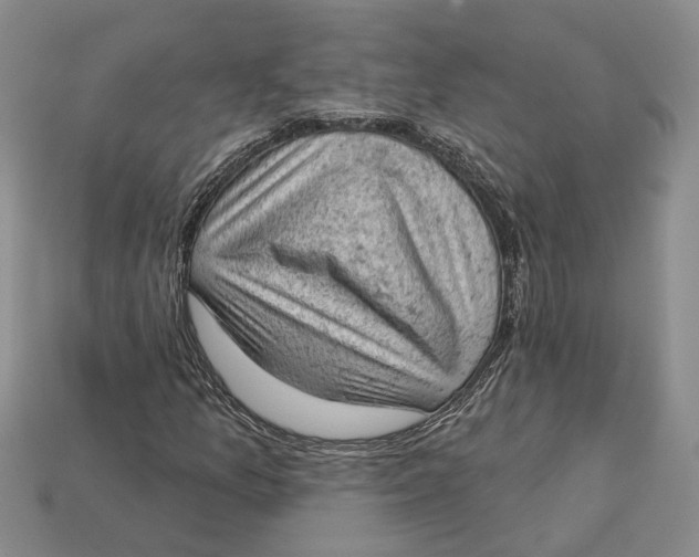 X0000112781157200909101606