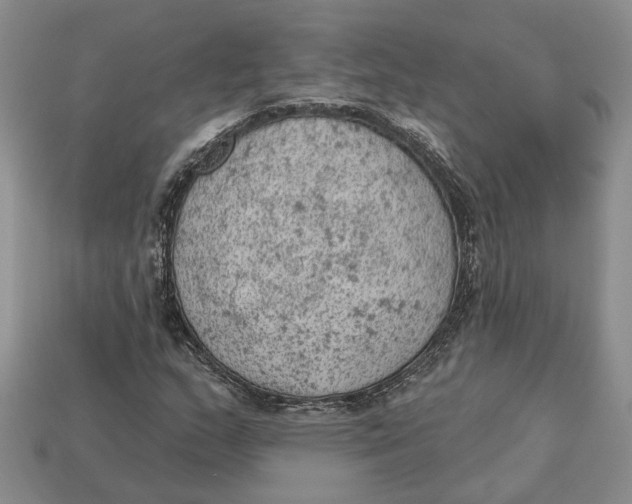 X0000112781159200909101606