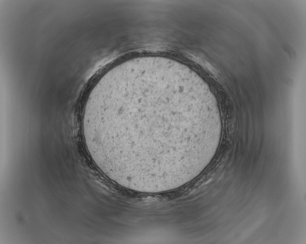 X0000112781160200909101606