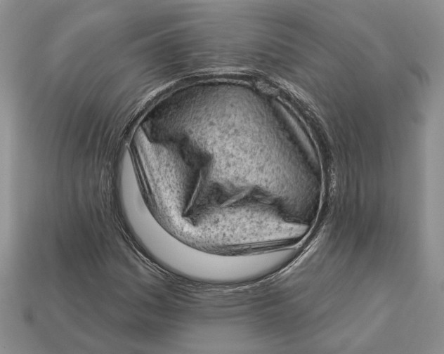 X0000112781161200909101606