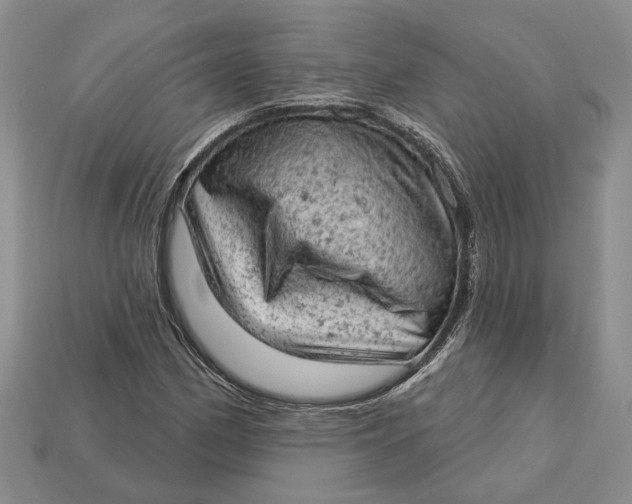 X0000112781162200909101606