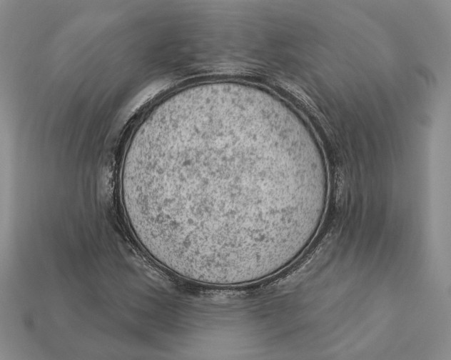 X0000112781163200909101606