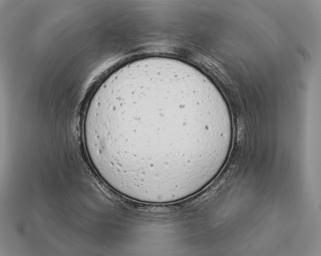 X0000112781164200909101606