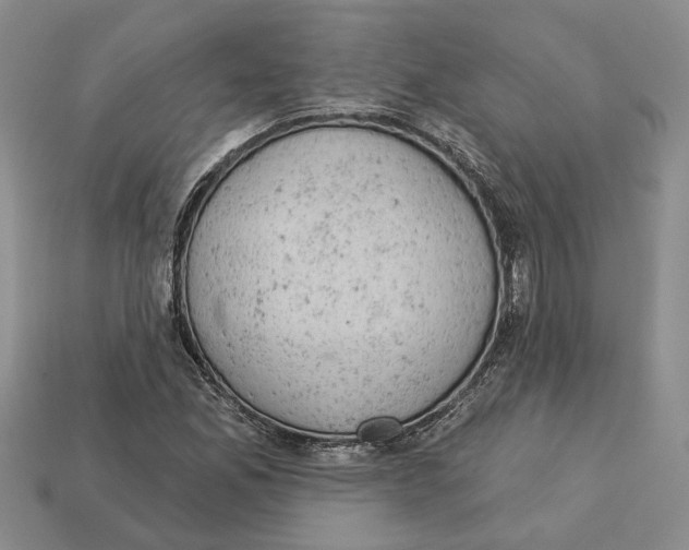 X0000112781165200909101606