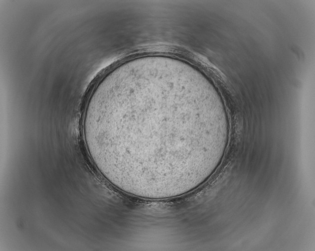 X0000112781166200909101606