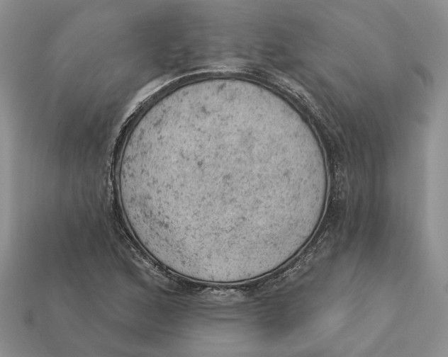 X0000112781168200909101606