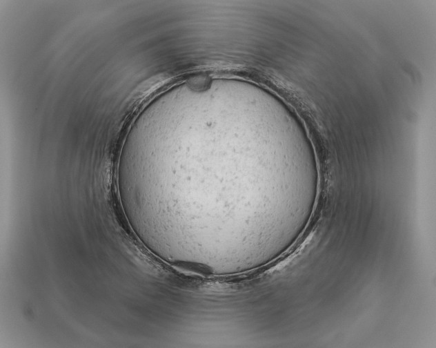 X0000112781169200909101606