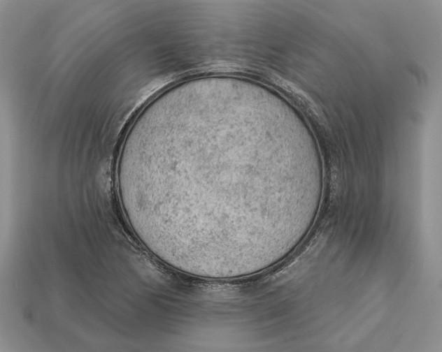 X0000112781170200909101606