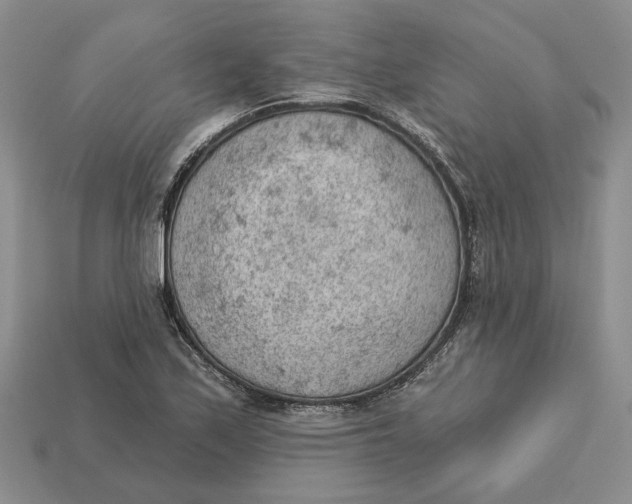 X0000112781171200909101606