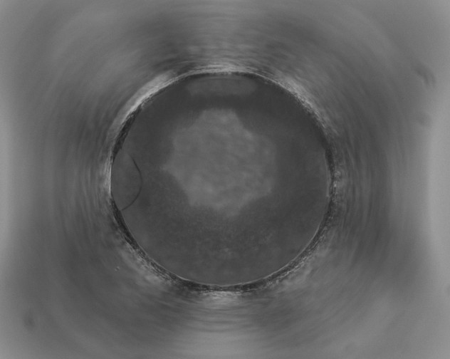 X0000112781173200909101606