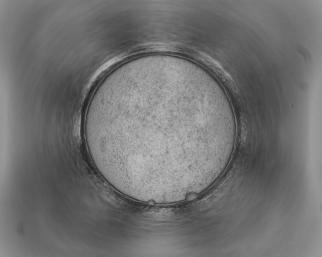 X0000112781174200909101606