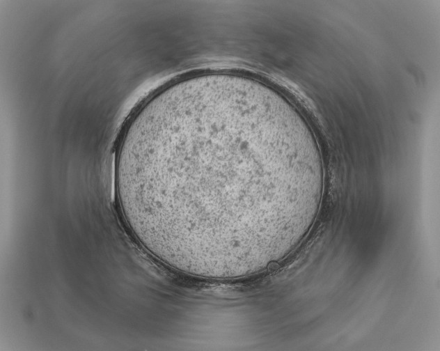 X0000112781175200909101606