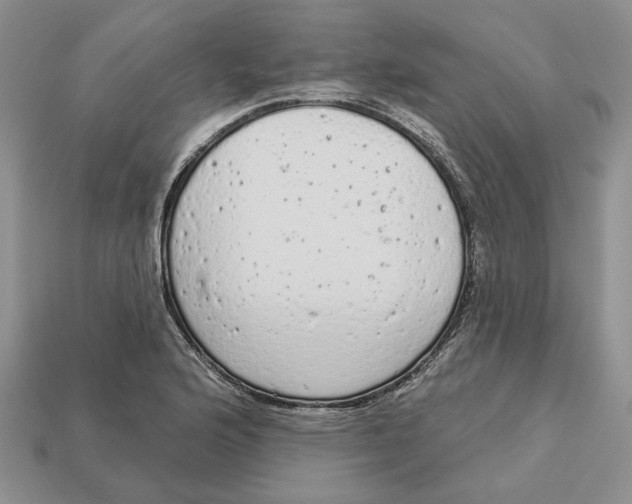 X0000112781176200909101606