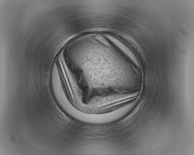 X0000112781177200909101606