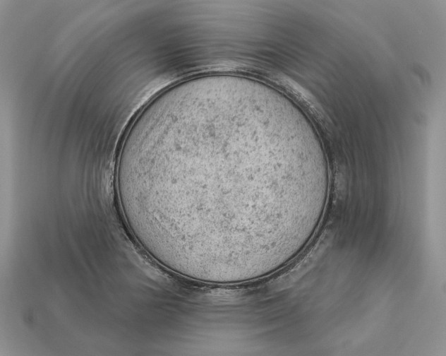 X0000112781178200909101606