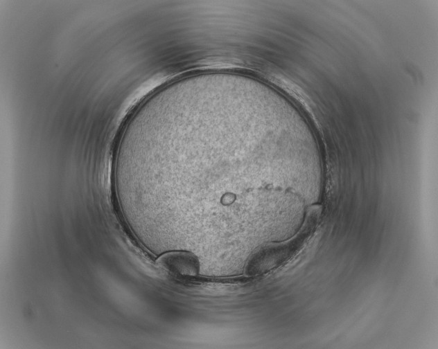 X0000112781179200909101606