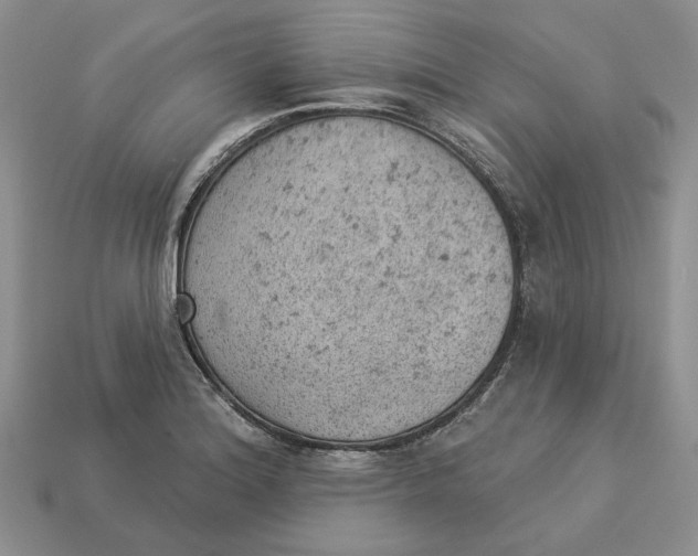 X0000112781180200909101606