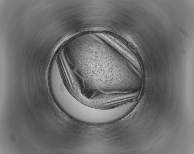 X0000112781181200909101606