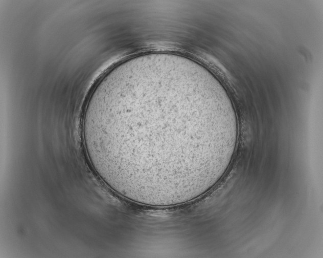 X0000112781182200909101606