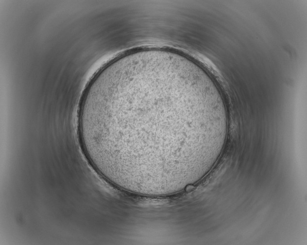 X0000112781183200909101606