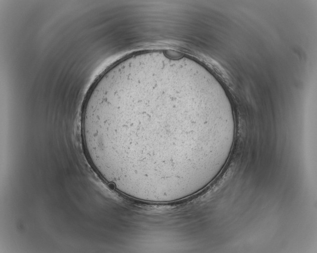 X0000112781184200909101606