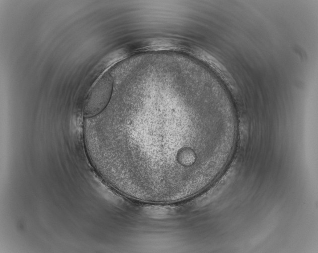 X0000112781185200909101606