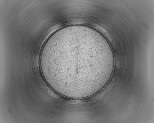 X0000112781186200909101606