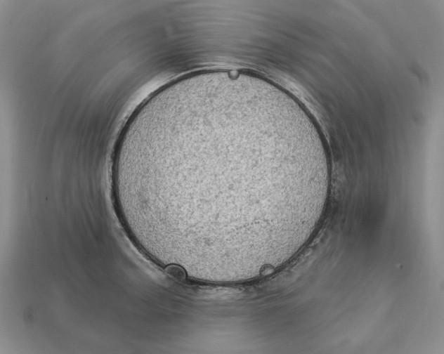 X0000112781187200909101606