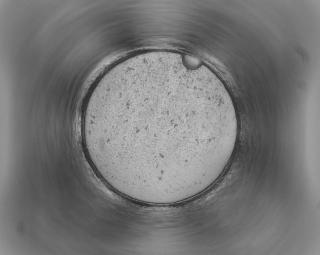 X0000112781188200909101606