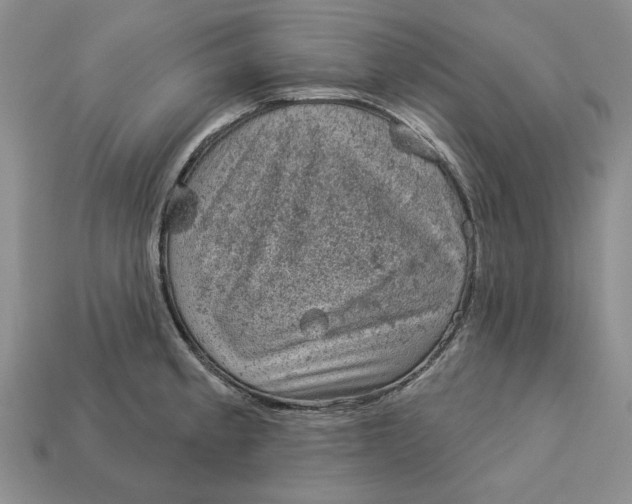 X0000112781189200909101606