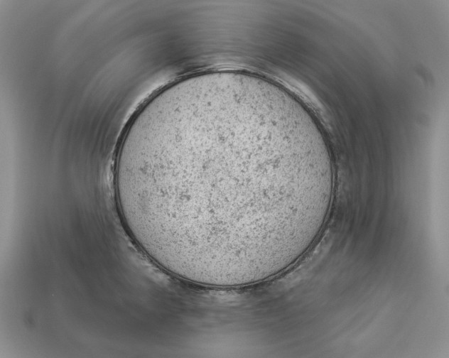 X0000112781190200909101606