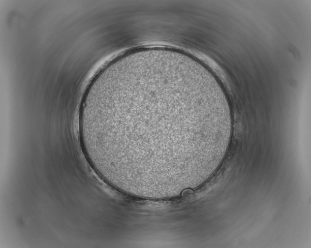 X0000112781191200909101606