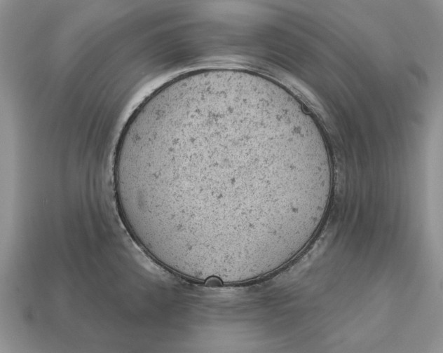 X0000112781192200909101606