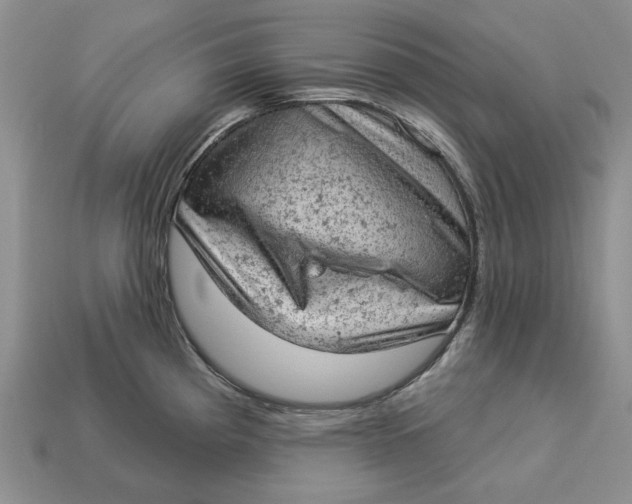 X0000112781193200909101606