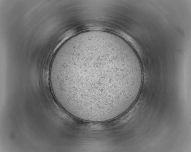 X0000112781194200909101606