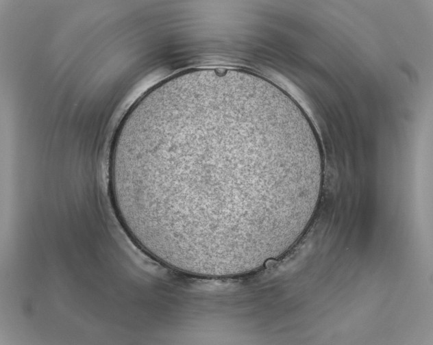 X0000112781195200909101606