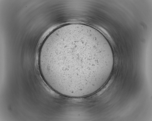 X0000112781196200909101606