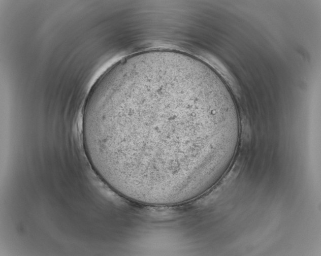 X0000112781198200909101606