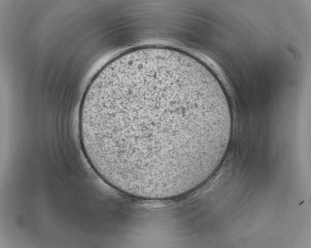 X0000112781199200909101606