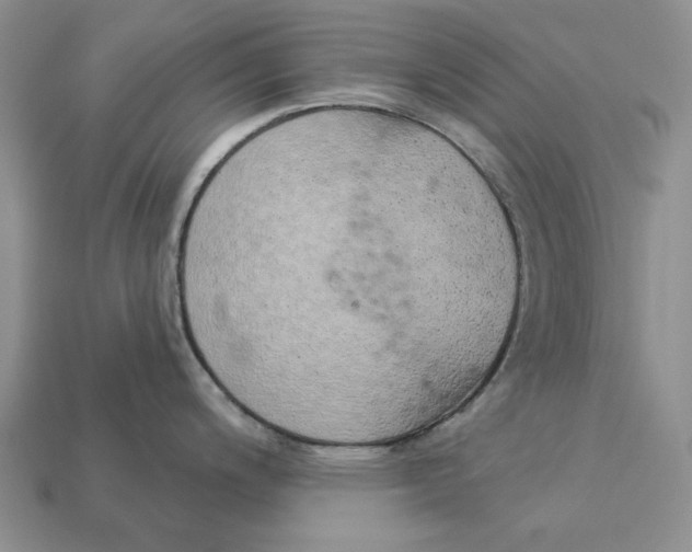 X0000112781200200909101606