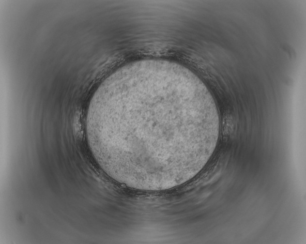 X0000112781202200909101605