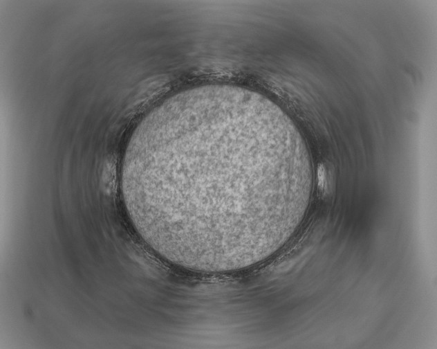 X0000112781203200909101605