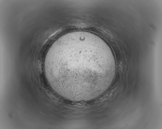 X0000112781205200909101605