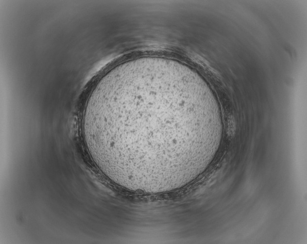 X0000112781208200909101605