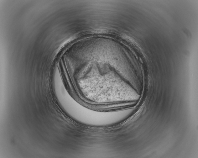 X0000112781210200909101605