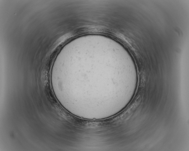 X0000112781211200909101605