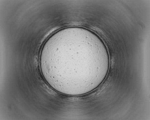 X0000112781212200909101605