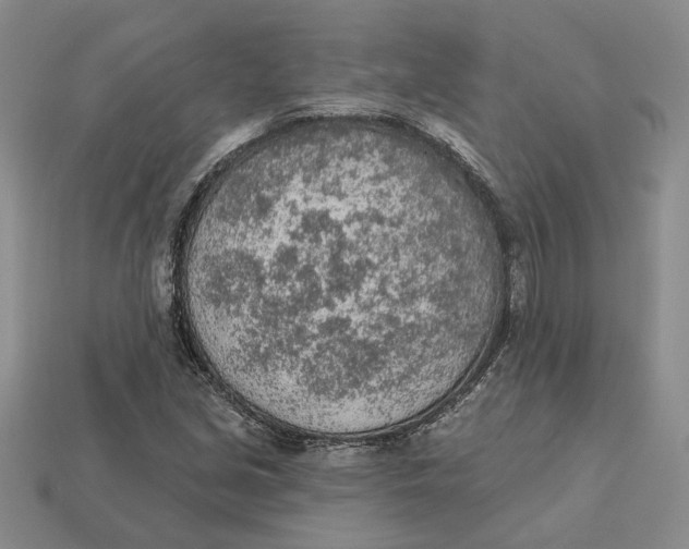 X0000112781213200909101605