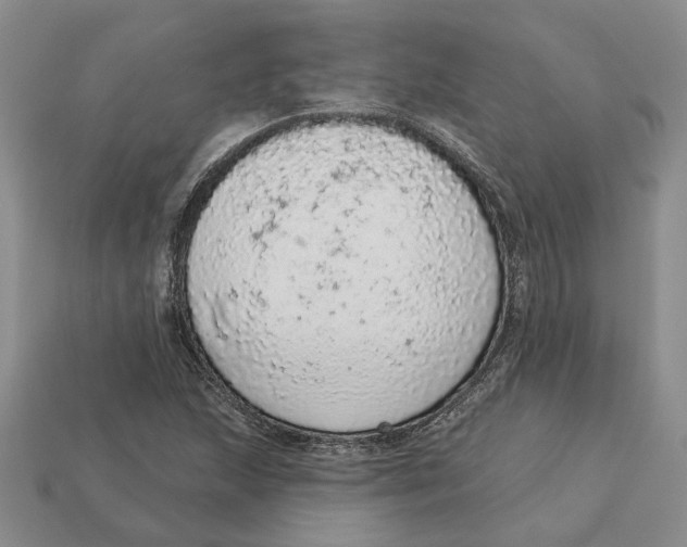 X0000112781215200909101605