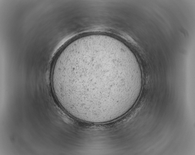 X0000112781216200909101605